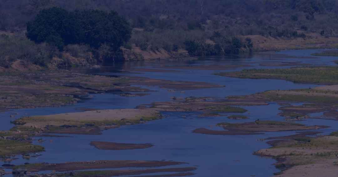 How Central Africa Is Building Its Own Climate Transparency Expertise