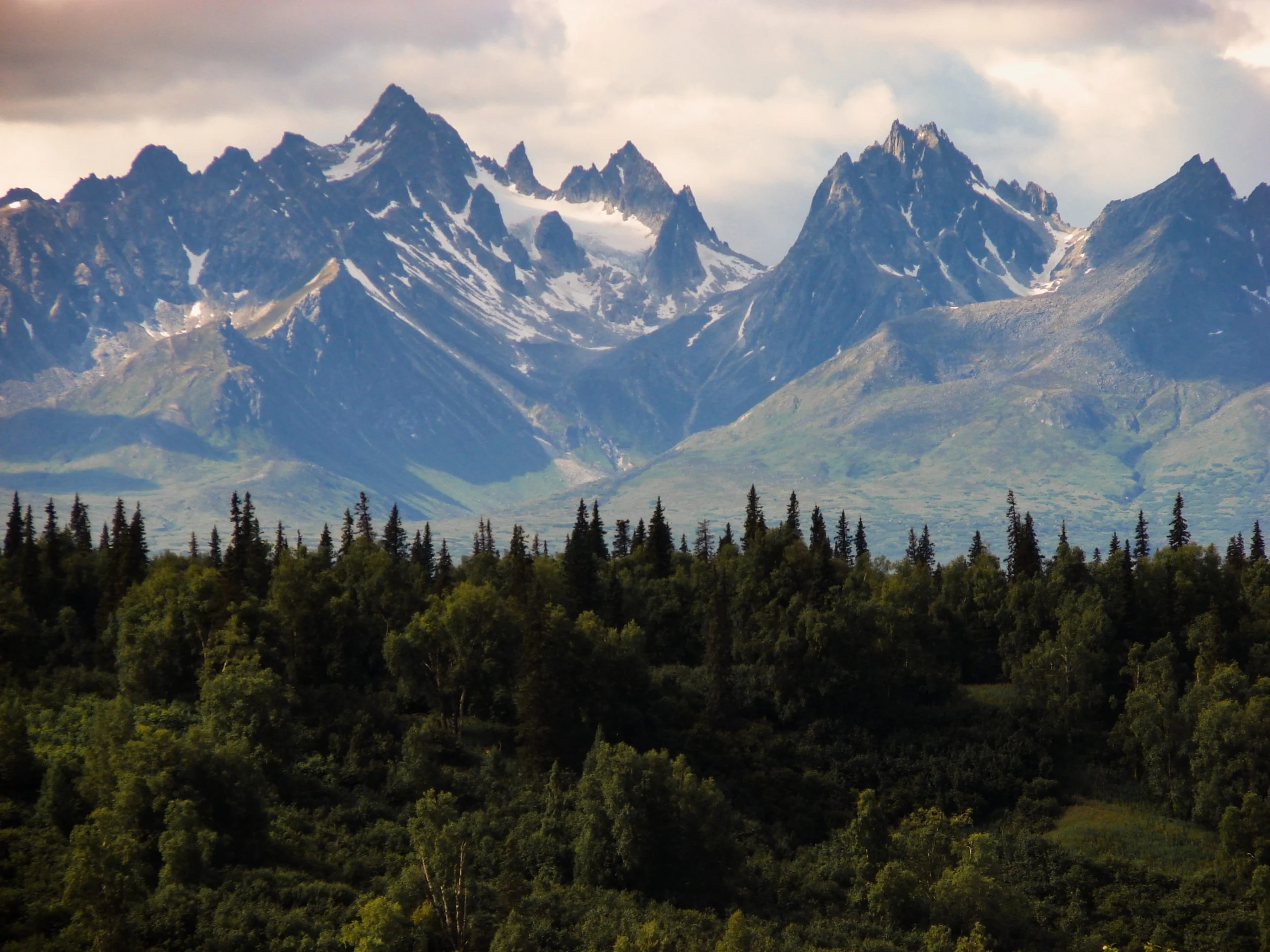 Forest Methodology