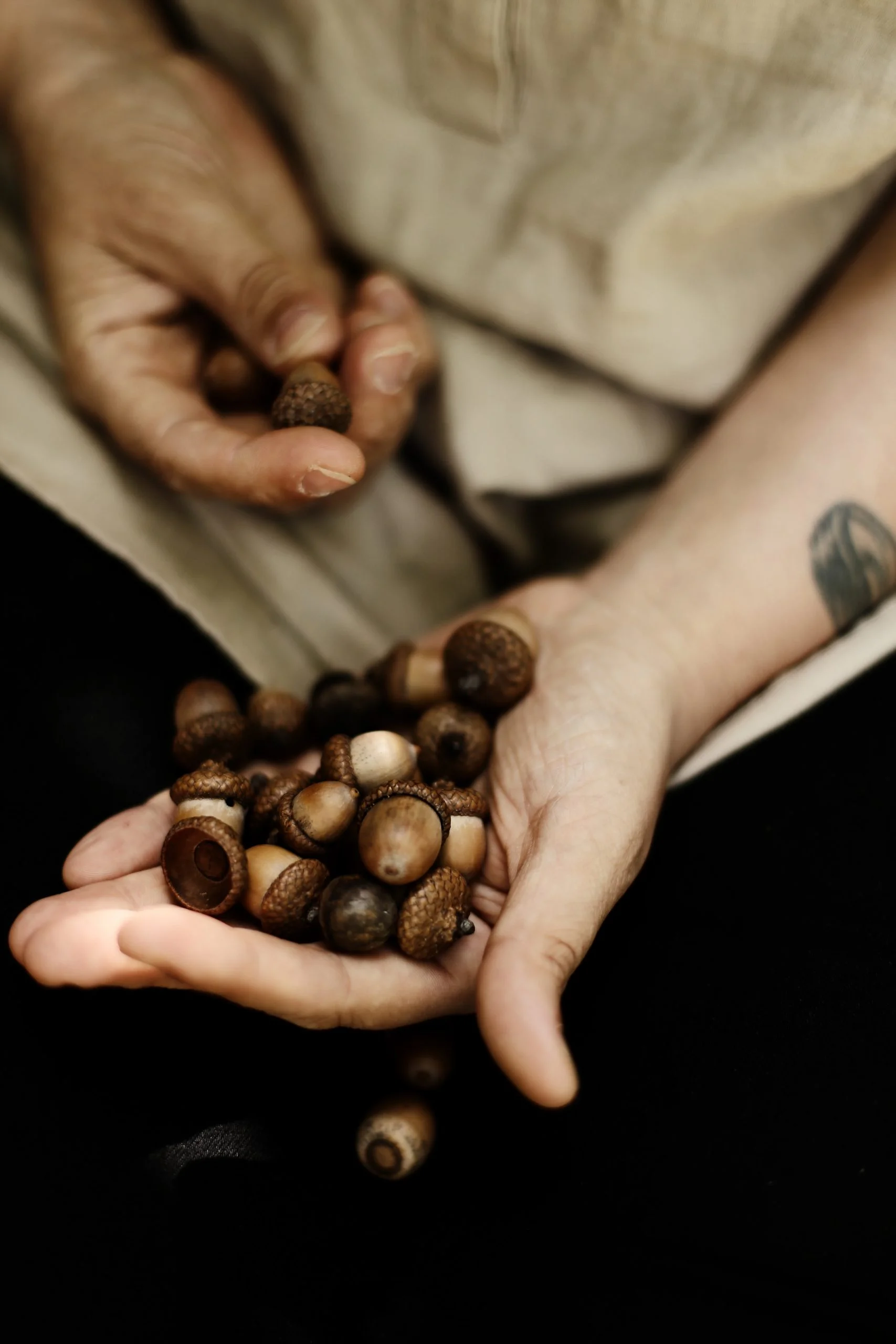 ‘Great oaks from little acorns grow’ – how ICAT is partnering with dev