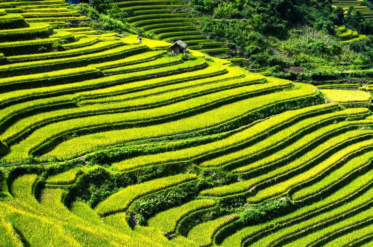 Call for Expressions of Interest: Partner Countries