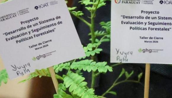 Paraguay completes ICAT project to strengthen forest policy monitoring