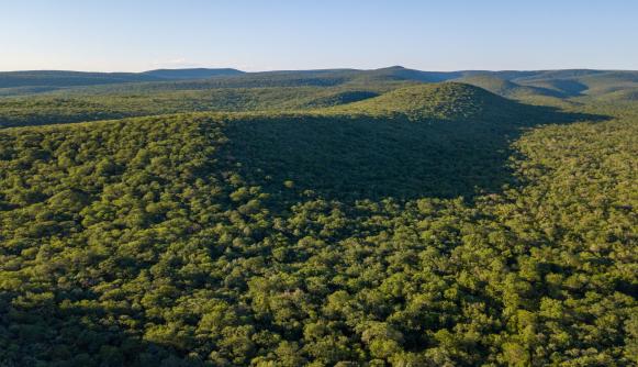Measuring the impact of Paraguay’s forest policies