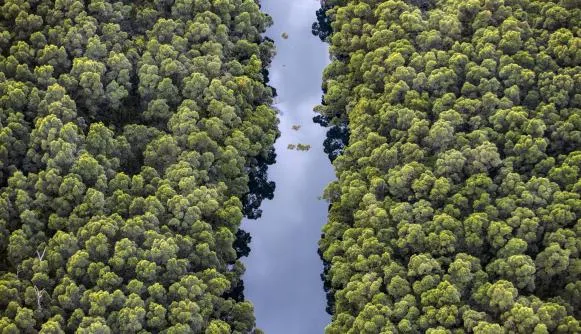 Brazil kicks off just transition tracking project