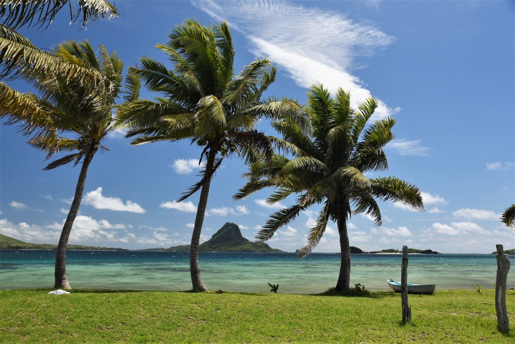 Fiji-5357709_1920.jpg Image by Christophe Dumortier from Pixabay https://pixabay.com/photos/fiji-tropical-island-palm-tropics-5357709/