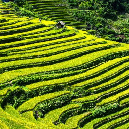 Vietnam: Assessing the impact of climate mitigation initiatives