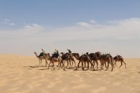 Photo by Hoeneisen on Pixabay Karawane Wüste Sahara - Kostenloses Foto auf Pixabay