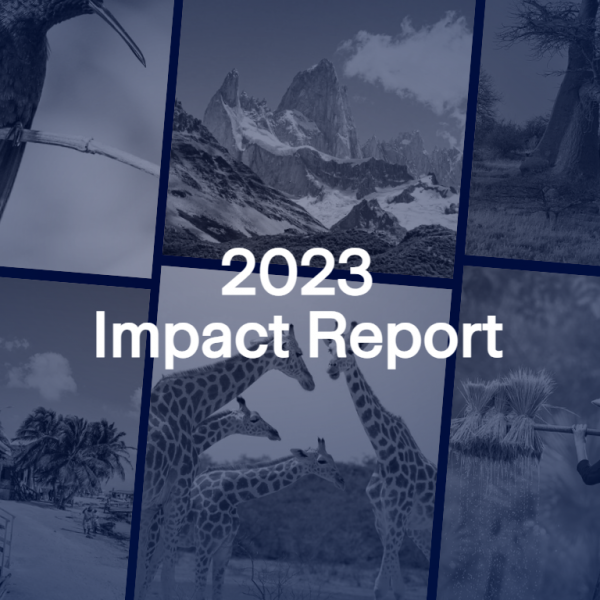 Out now: 2023 ICAT Impact report