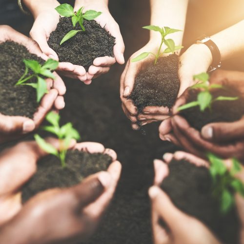 Call for Proposals: Grant for technical support to increase transparency capacities in developing countries