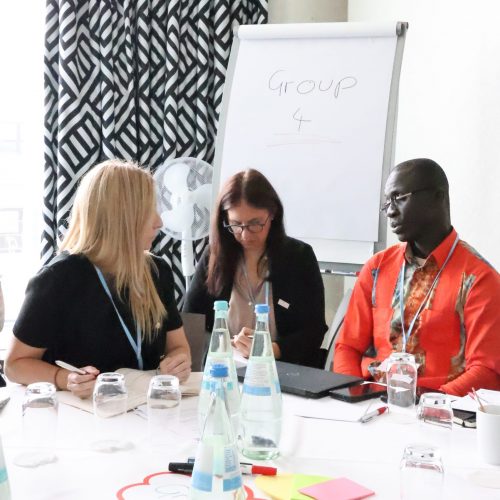 Strengthening Trust and Impact: Transparency as the Key for Effective NDCs in Developing Countries