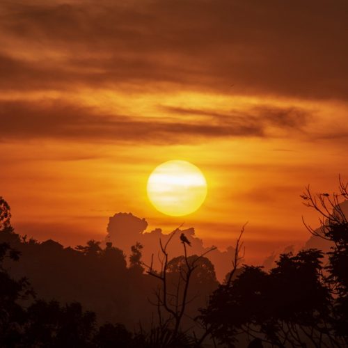 Uganda Achieves Milestone in Tracking Sectoral Climate Progress