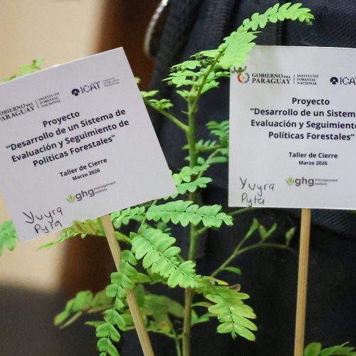 Paraguay completes ICAT project to strengthen forest policy monitoring