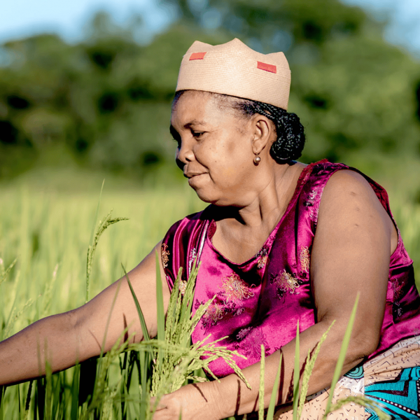 Out Now: 2025 ICAT Impact Report