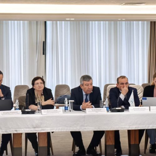 Supporting NDC 3.0 in Central Asia: Regional Approaches and Tools for Monitoring and Reporting on Adaptation and Climate Finance Mobilization