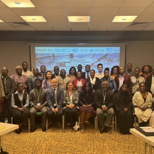 What years of climate transparency training for developing countries have taught us: reflections from trainers and alumni