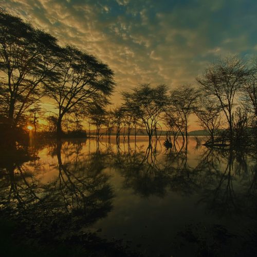 Global Transparency Community Meetings: Enabling data-driven progress on NDC 3.0 implementation