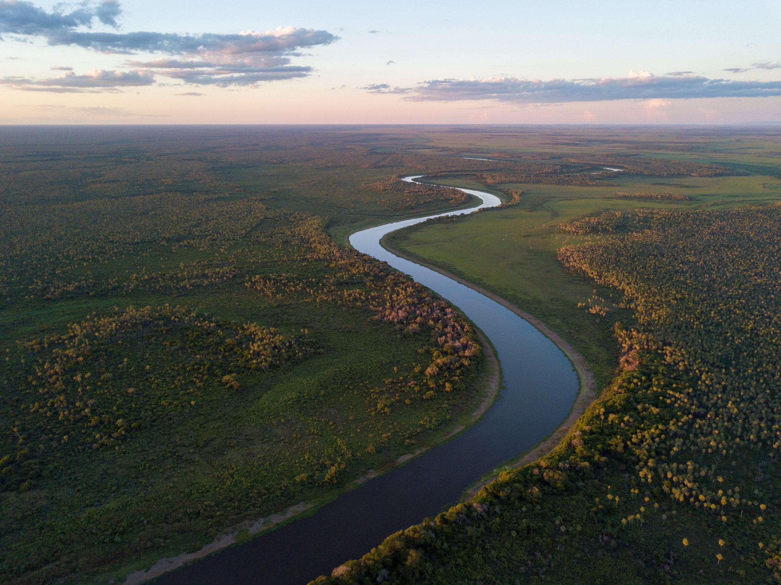 Paraguay forest and river landscape