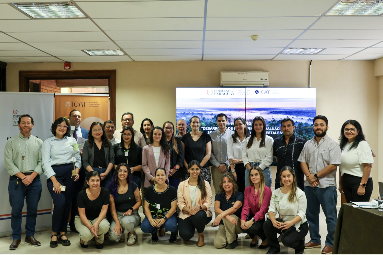 Paraguay completes ICAT project to strengthen forest policy monitoring — closing workshop
